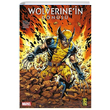 Wolverinein Dn Charles Soule Gerekli eyler Yaynclk