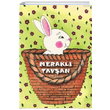 Merakl Tavan Ebru rpan klim Yaynlar