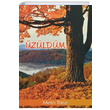 zldm Metin Torun