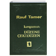 Kavgamz Dzene ekidzen Rauf Tamer Toker Yaynlar