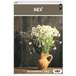 Sev Muhammet Sa Tilki Kitap