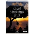 Gnei Sndrmem Gerek Emre Gl Ephesus Yaynlar
