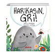 Harikasn Gri rma Zmiri etinkaya Abaks Kitap