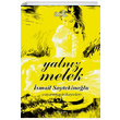 Yalnz Melek smail Soytekinolu Sokak Kitaplar Yaynlar