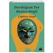 Durduum Yer Benim Deil idem Anad Doan Kitap