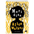 Meridian Alice Walker Doan Kitap