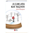 Alaklara Kar Yayor Ayla zaygen Puslu Yaynclk