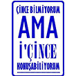 ince Melisa Poster