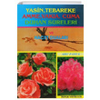 Yasin Tebareke Amme Vaka Cuma Duhan Sureleri ve Hacet Dualar Arif Pamuk Pamuk Yaynclk