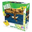 Animal Planet Eagle At Hunting ONUR247 Ks Games