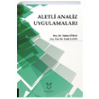 Aletli Analiz Uygulamalar Akademisyen Kitabevi