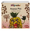 Ananas Pini ve ikolata Orman Kk Meyveler Ella Davies Mum Yaynlar