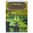 Petersburg Andrey Bely Multilingual Yabanc Dil Yaynlar