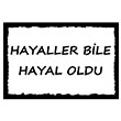 Hayaller Bile Hayal Oldu Poster Melisa Poster