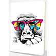 Mahzen Hobi Defter 43 Mahzen Yaynclk