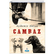 Cambaz Aydemir Akba Bykada Yaynclk