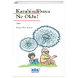 Karahindibaya Ne Oldu Derya zer Yaman Kk Yaynclk