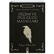 Gizem ve D Gc Masallar Edgar Allen Poe Dex Yaynevi