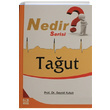 Taut Nedir Serisi Seyyid Kutub Karnca Polen Yaynlar