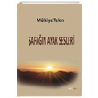 afan Ayak Sesleri Mlkiye Tekin JJ Yaynlar