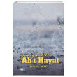Yreimdeki Ab Hayat smail Altn Boy Yaynlar