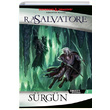 Srgn R. A. Salvatore thaki Yaynlar