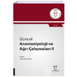Gncel Anesteziyoloji ve Ar almalar 2 Dilek zcengiz Akademisyen Kitabevi