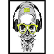Cool skelet Poster Melisa Poster