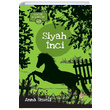 Siyah nci Anna Sewell Dahi ocuk Yaynlar