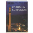 Çorumun Kurşunları Serhat Ünal Er Gelişim Sanat Yayınları