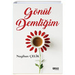 Gnl Demliim Nagihan elik Gece Kitapl
