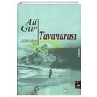 Tavanarası Ali Gür Chiviyazıları Yayınevi