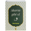 Akarsu Gibi Ol Mevlana Ehil Yaynlar