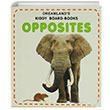 Opposites Kiddy Board-Books Dreamland Publications