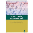 Soyut Cebir Problemleri smail Naci Cangl Dora Basm Yayn