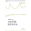 Antik Dnya Jerry Toner Domingo Yaynevi
