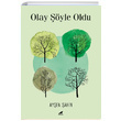 Olay yle Oldu Ayen ahin Kara Karga Yaynlar