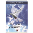 Cenneti Yaamak Necip Cengil ra Yaynlar