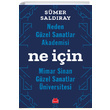 Neden Gzel Sanatlar Akademisi Ne in Mimar Sinan Gzel Sanatlar niversitesi Smer Saldray Krmz Kedi Yaynevi