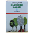 lmsz Kavak Bekir Yldz Cem Yaynevi