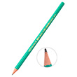 Evoluton Kurun Kalem  880311 Bic 