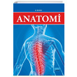 Anatomi Nobel Yaynevi