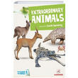 Extraordinary Animals Sarah Sweeney Redhouse Kidz Yaynlar