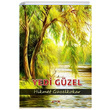 Yedi Gzel Hikmet Gzelkokar Ayata Kitap