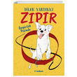 Zpr zgrlk Peinde Dilek Yardmc Tudem Yaynlar