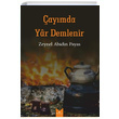 aymda Yar Demlenir Zeynel Abidin Payas Serencam Yaynevi