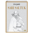 Sar Saltuk Ziya akir Akl Fikir Yaynlar