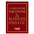 Ansiklopedik Ekonomi ve  Hayat Szl mizli Kapak Faruk Trkolu Dnya Gazetesi
