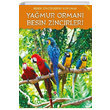 Besin Zincirlerini Korumak Yamur Orman Besin Zincirleri Heidi Moore TBTAK Yaynlar