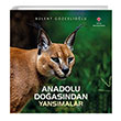 Anadolu Doasndan Yansmalar Blent Gzceliolu TBTAK Yaynlar